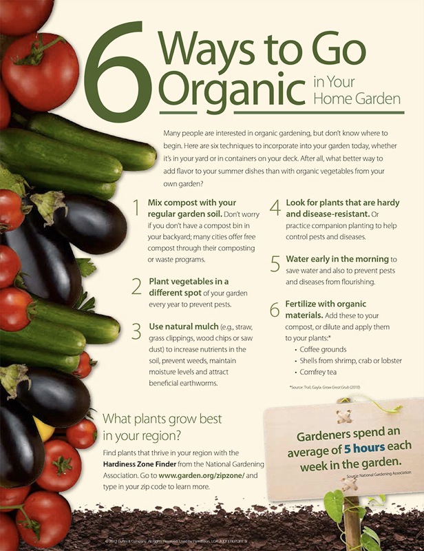 6-ways-to-go-organic-in-garden