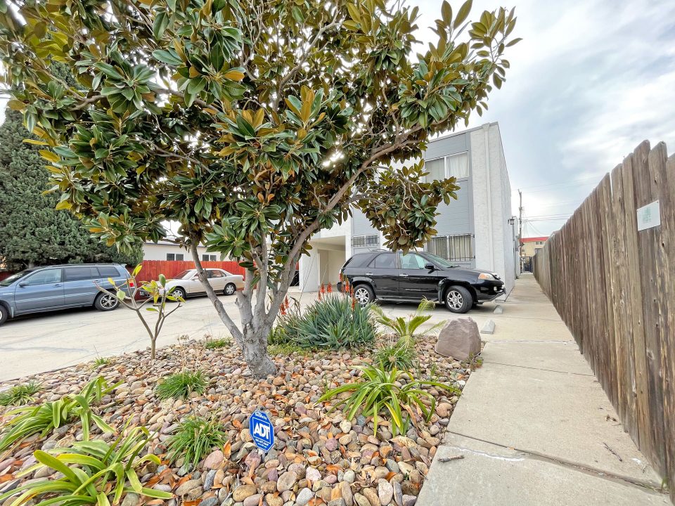 4468 36th St San Diego, CA 92116 landscape