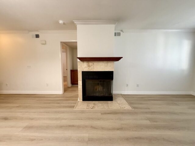 1756-essex-st-unit-305-san-diego_fireplace_IMG_5279