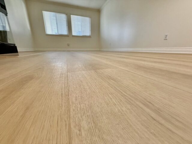 1756-essex-st-unit-305-san-diego_flooring_IMG_5285
