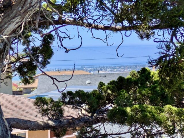 2235-milton-ct-san-diego-ca_Roof Top_1000006156
