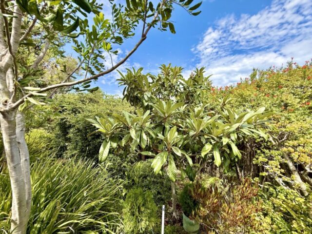 2235-milton-ct-san-diego-ca_exerior-side_5506