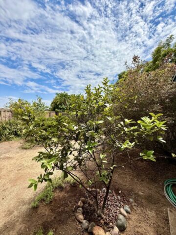 2235-milton-ct-san-diego-ca_exerior-side_5508
