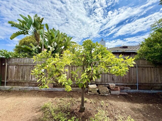 2235-milton-ct-san-diego-ca_exerior-side_5512