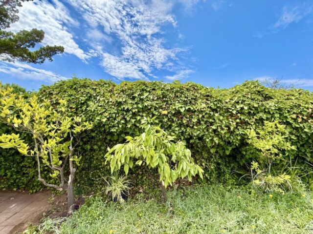 2235-milton-ct-san-diego-ca_exterior-back_5493